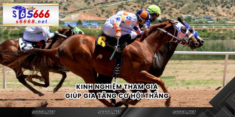 Kinh nghiệm tham gia giúp gia tăng cơ hội thắng