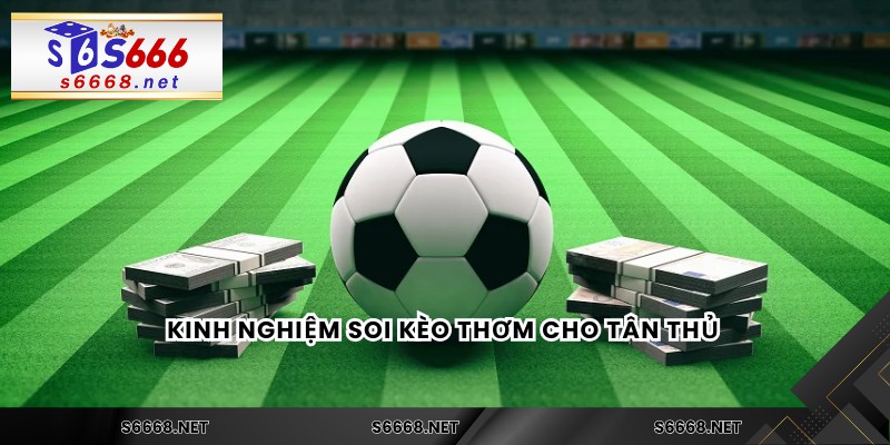 Kinh nghiệm soi kèo thơm cho tân thủ